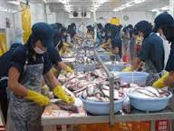 ສະພາແຫ່ງຊາດອາເມລິກາຮັບຮອງເອົາຮ່າງກົດໝາຍ ກໍ່ຄວາມຫຍຸ້ງຍາກໃຫ້ຜະລິດຕະພັນປາໜັງຫວຽດນາມ